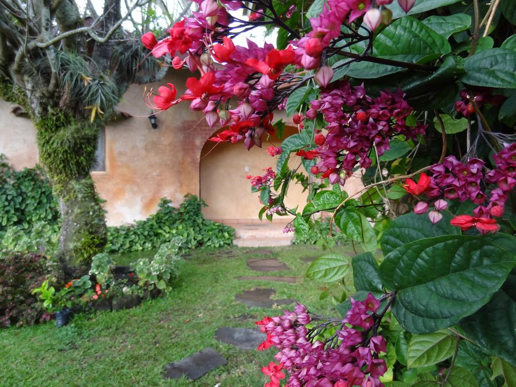 Hotel Valle Primavera Boquete Exteriér fotografie
